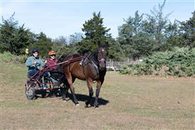 LR-WRF 10182025 Retreat-6443